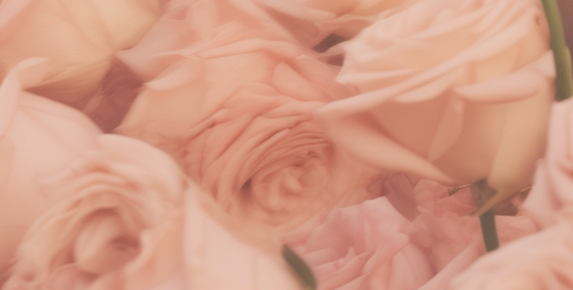 jewelry gifts for women's day