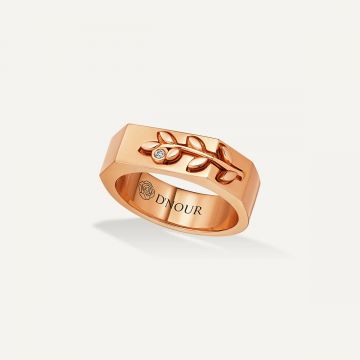 Leove Band Diamond Ring Pink Gold